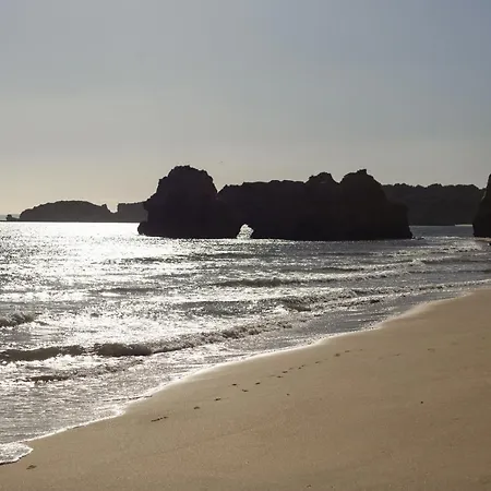 公寓 New - Tarik 111 *