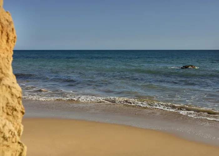 New - Tarik 111 Portimão